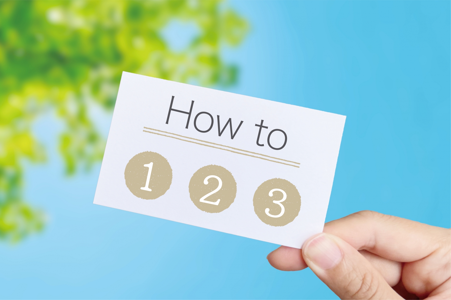 スズメバチトラップの作り方