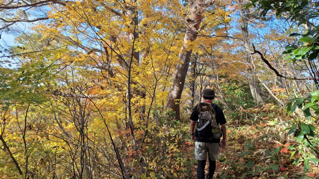 チャイロスズメバチに遭遇したときの対処法