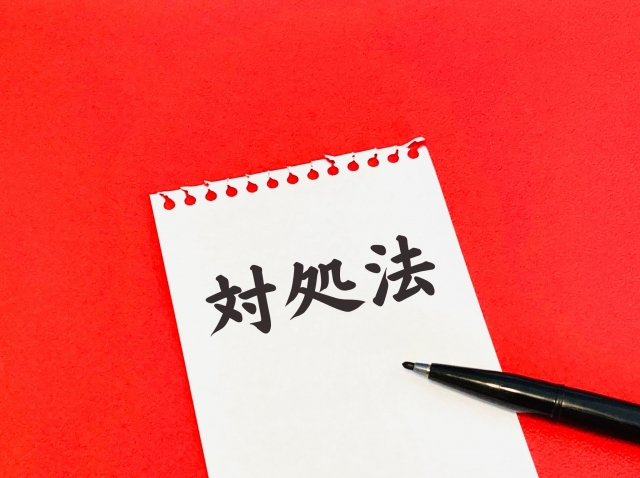 スズメバチの巣が初期段階でないときの対応