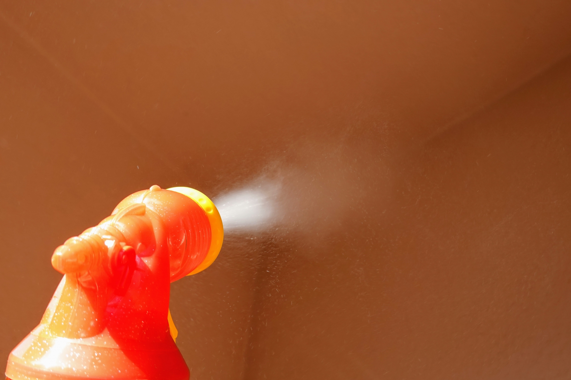 スズメバチの巣を自力で退治する手順