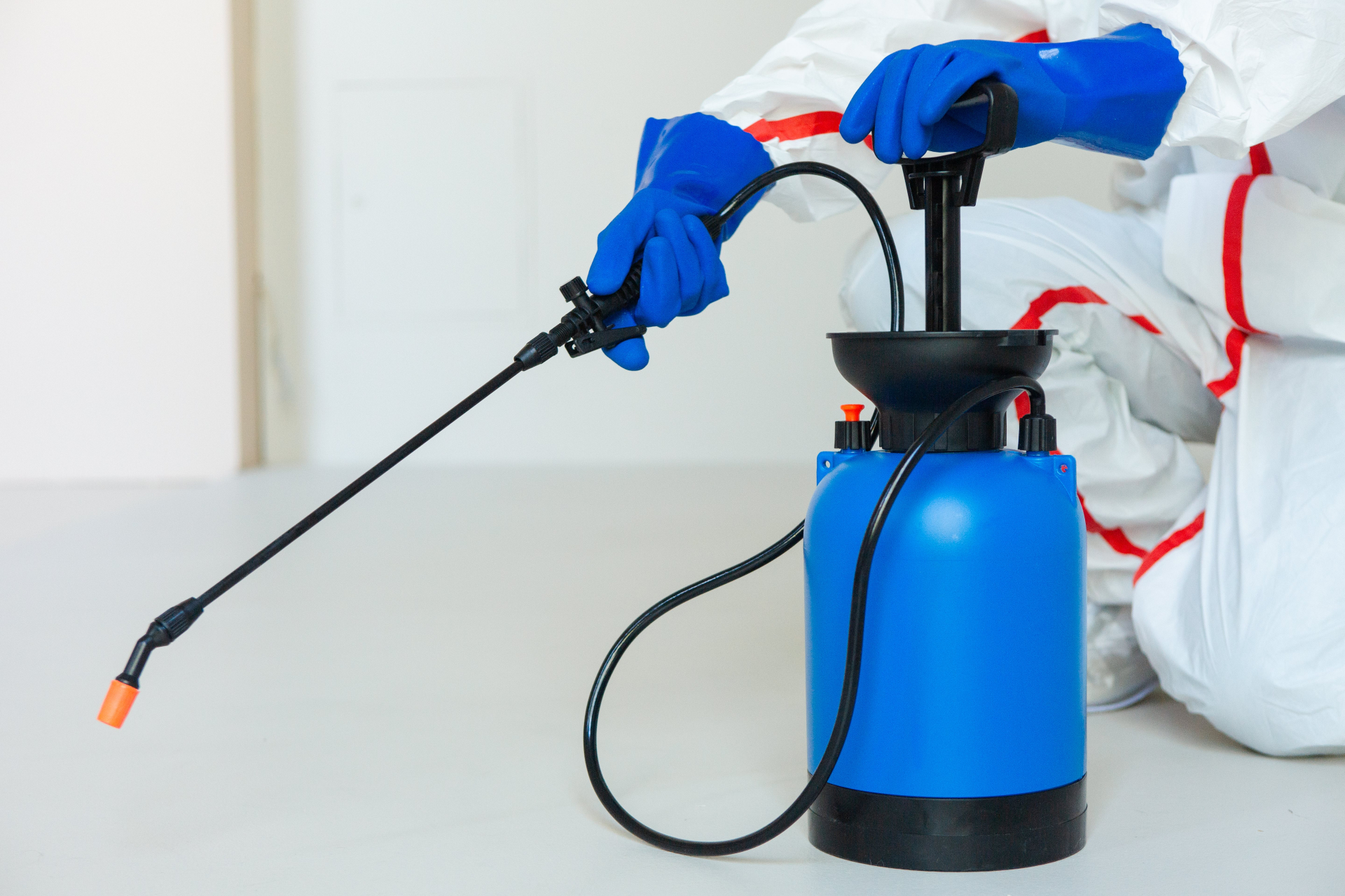 蜂駆除専門業者がおすすめな理由5つ