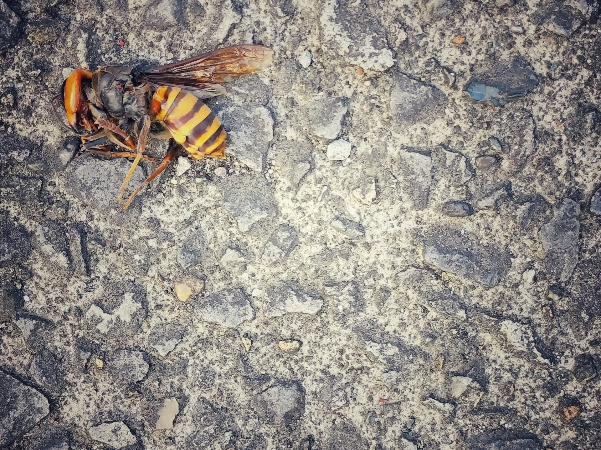 【冬】再発防止対策をおこなうチャンス