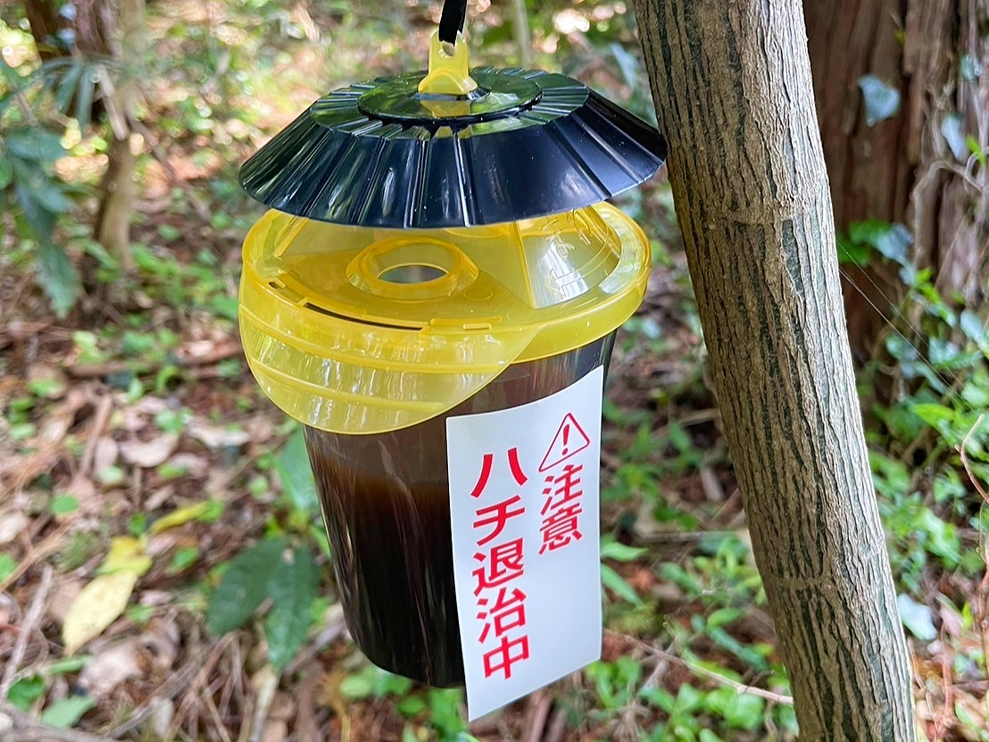 スズメバチトラップ交換時期の目安