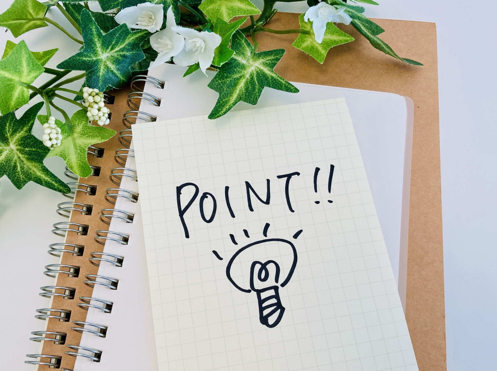 自力で退治する際のポイント5つ