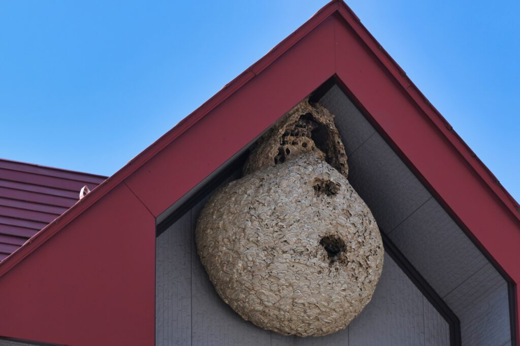 殺虫剤での自力対応できないケース