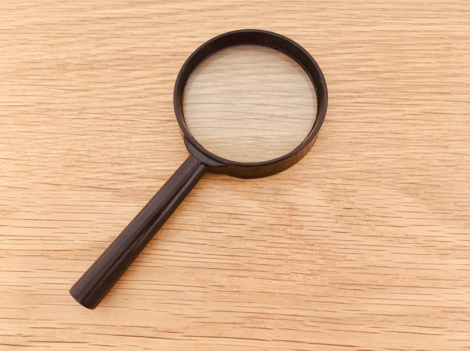 スズメバチとミツバチの見分け方