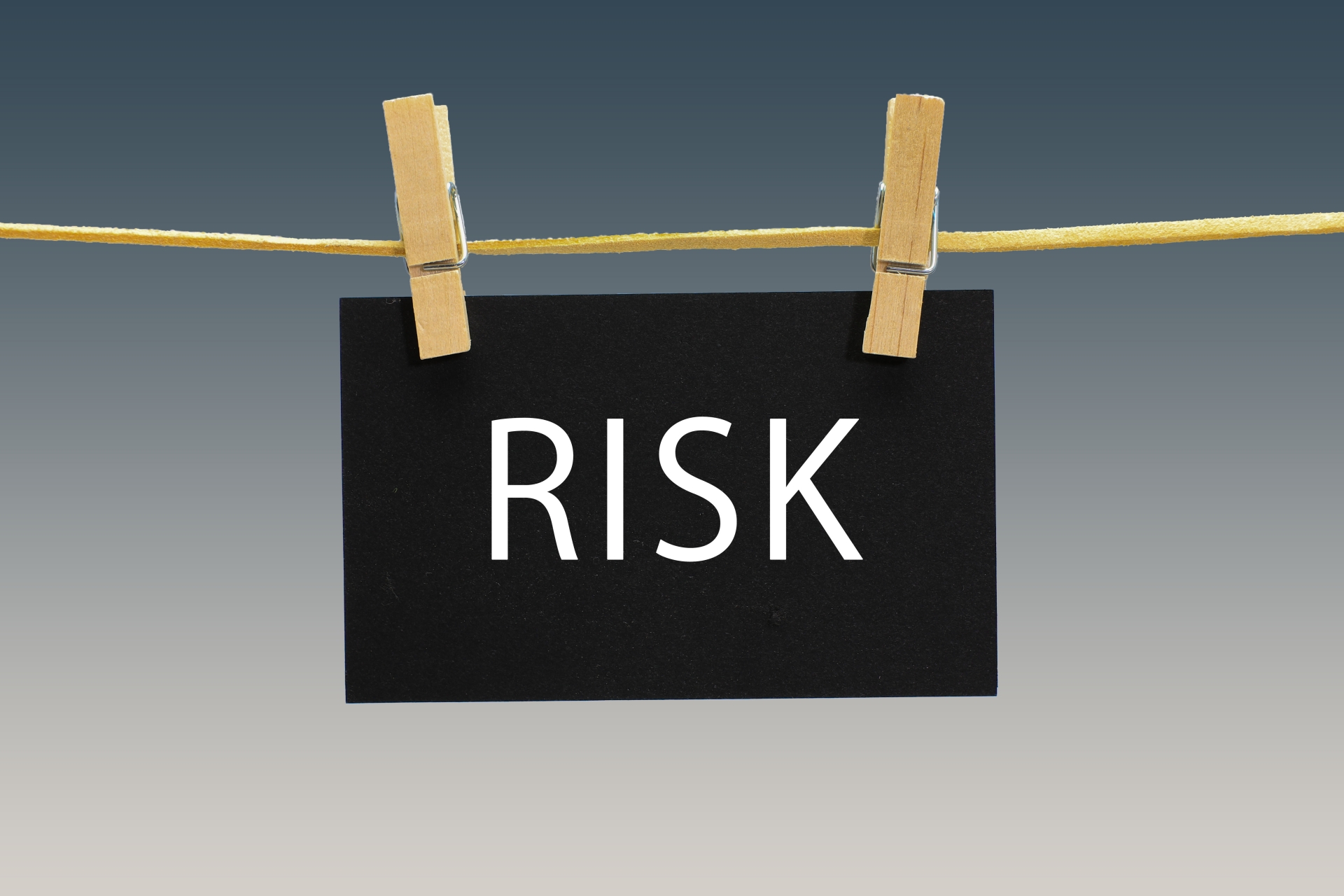 スズメバチとミツバチの攻撃性・危険性の違い