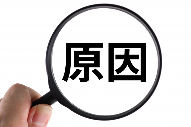 スズメバチが家に入ってくる原因と侵入経路