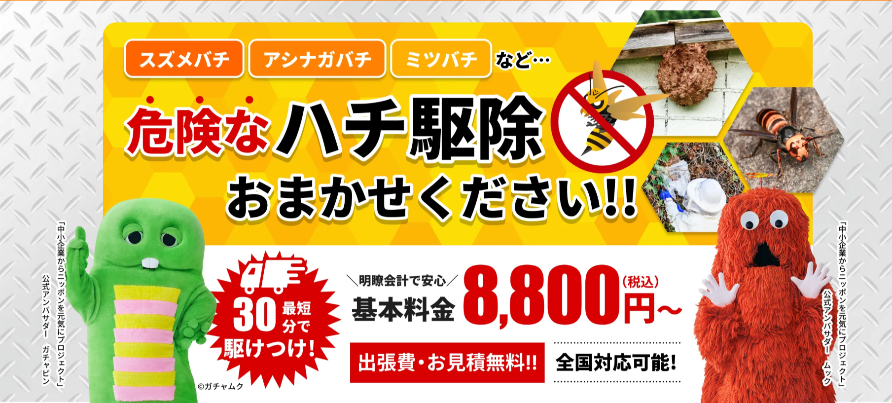 ハチ駆除専門クリーンライフならスズメバチの巣も女王蜂ごと根こそぎ駆除！