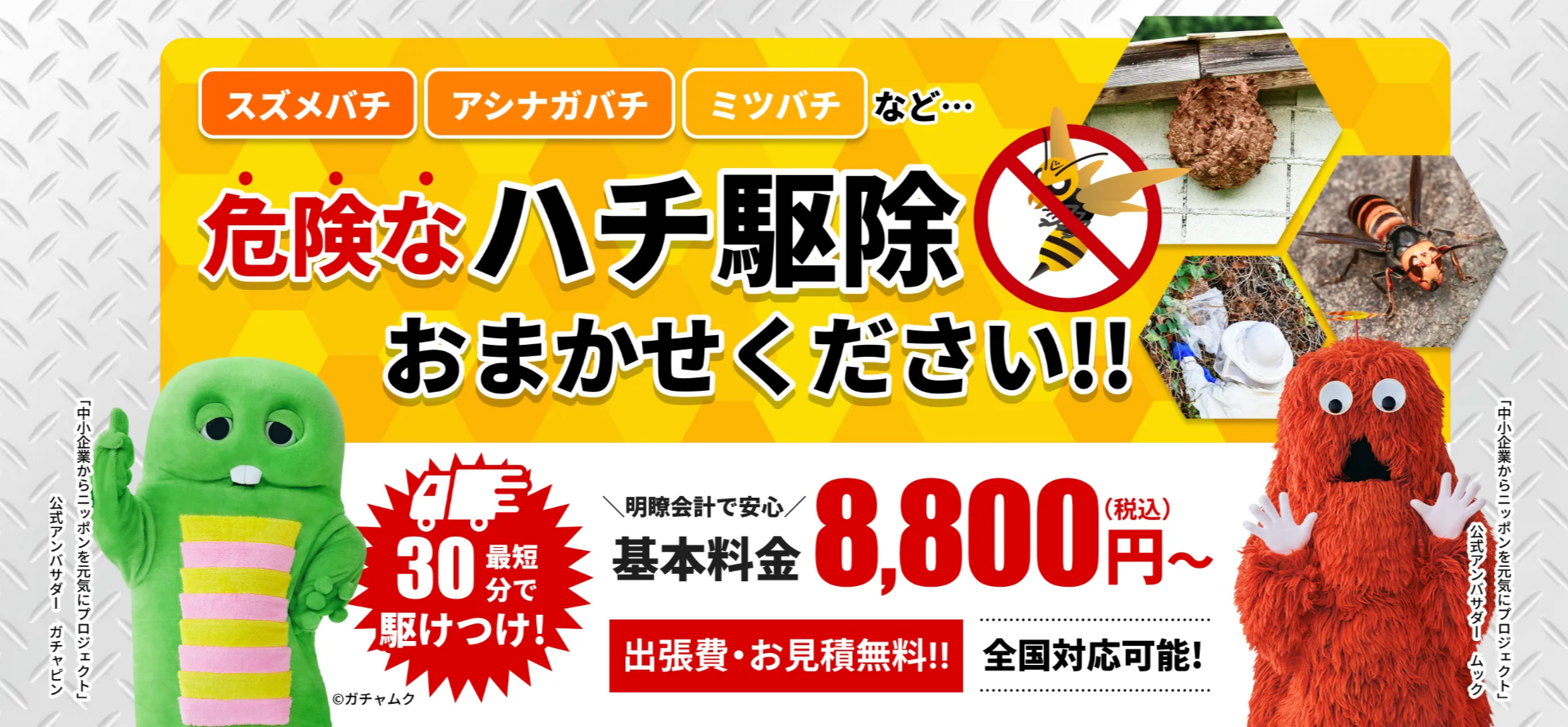 スズメバチの被害を確実に防ぐならハチ駆除専門クリーンライフにお任せください