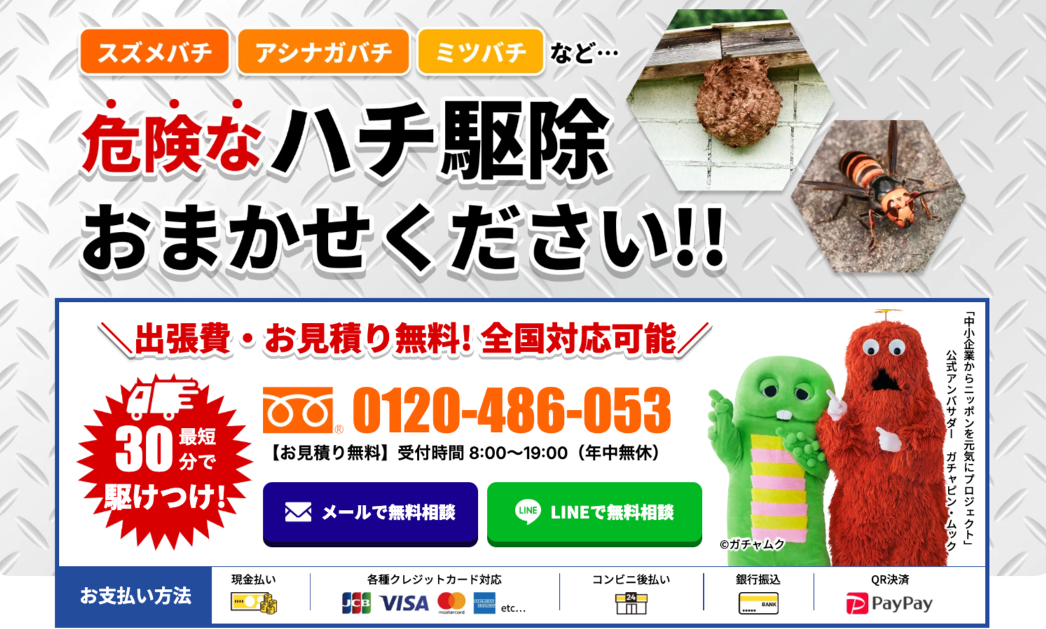 費用を抑えながら確実に駆除するならハチ駆除専門クリーンライフがおすすめ