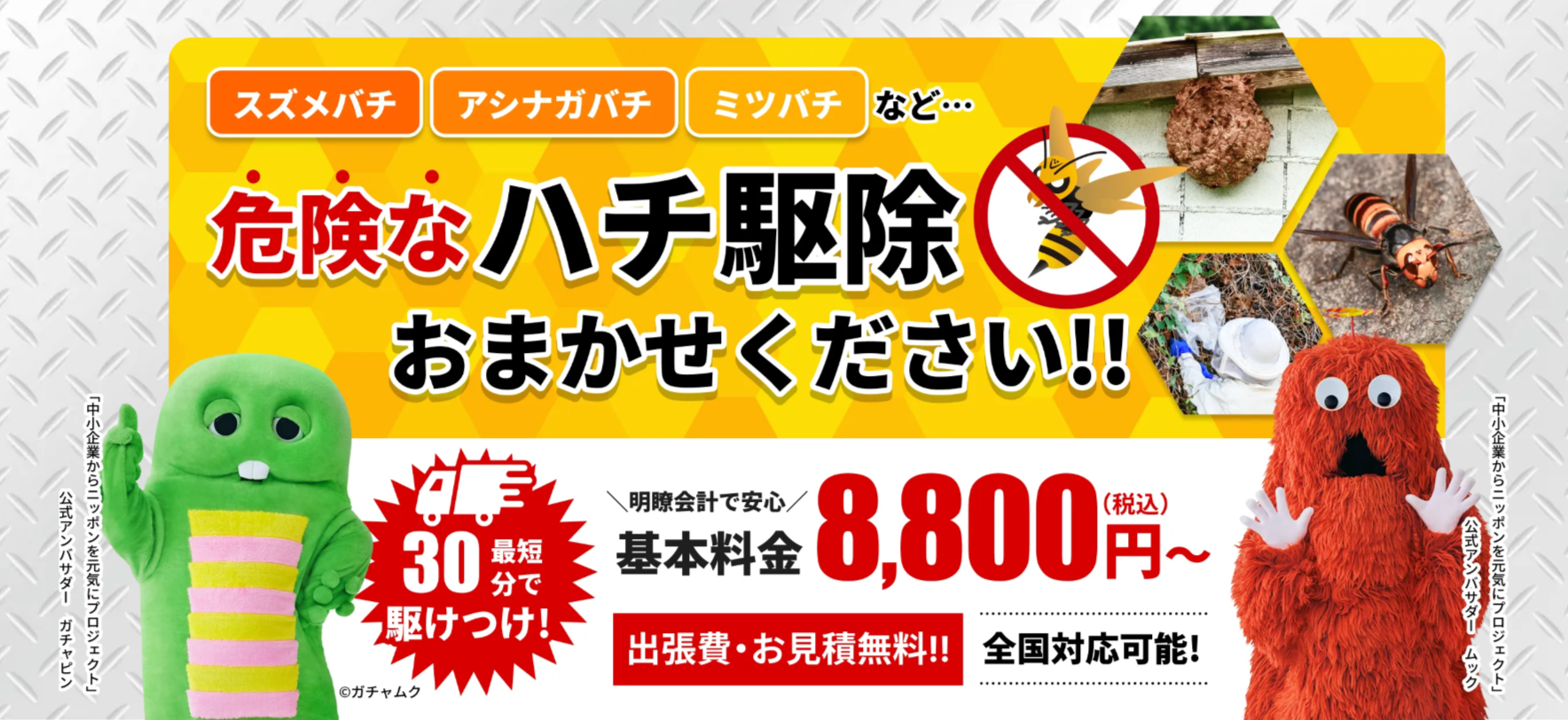 ハチ駆除専門クリーンライフなら費用を抑えつつ確実に駆除いたします！