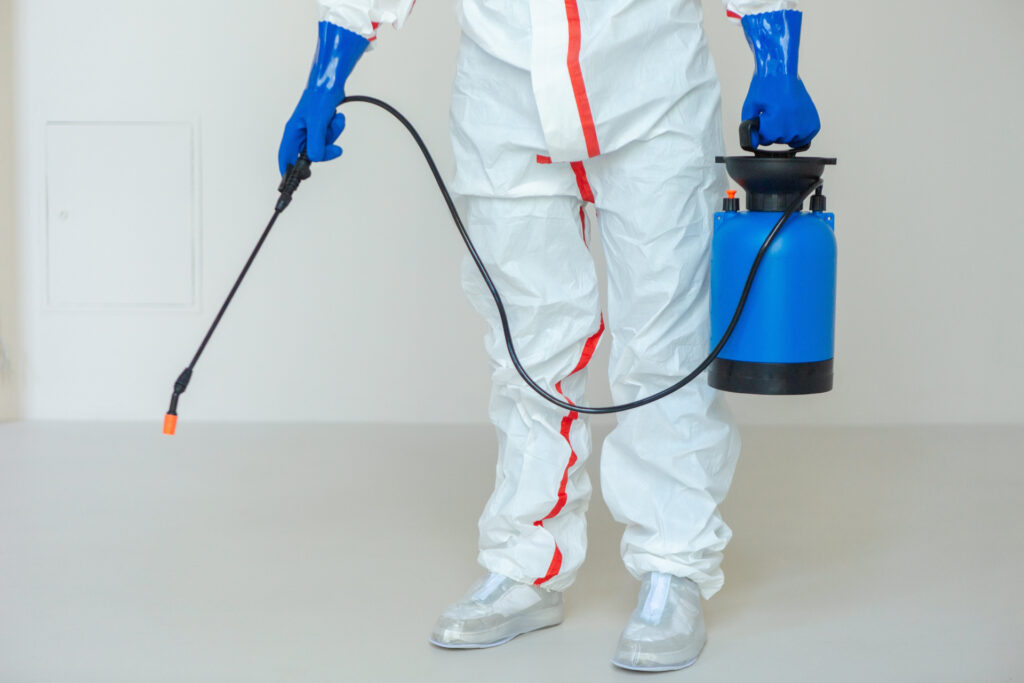 自力で蜂の巣の駆除を行う方法