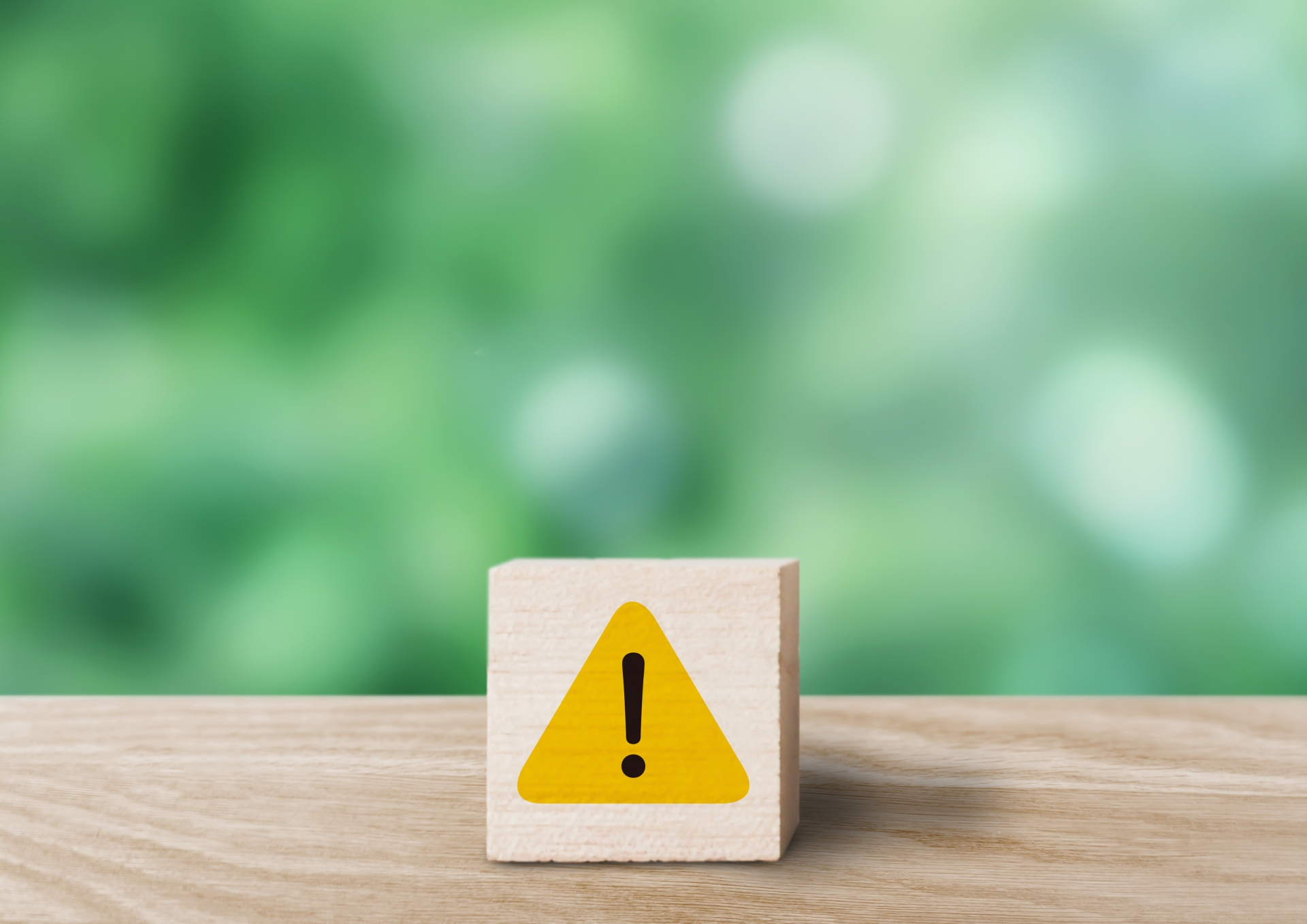 威嚇音を出しているスズメバチから攻撃されるリスク