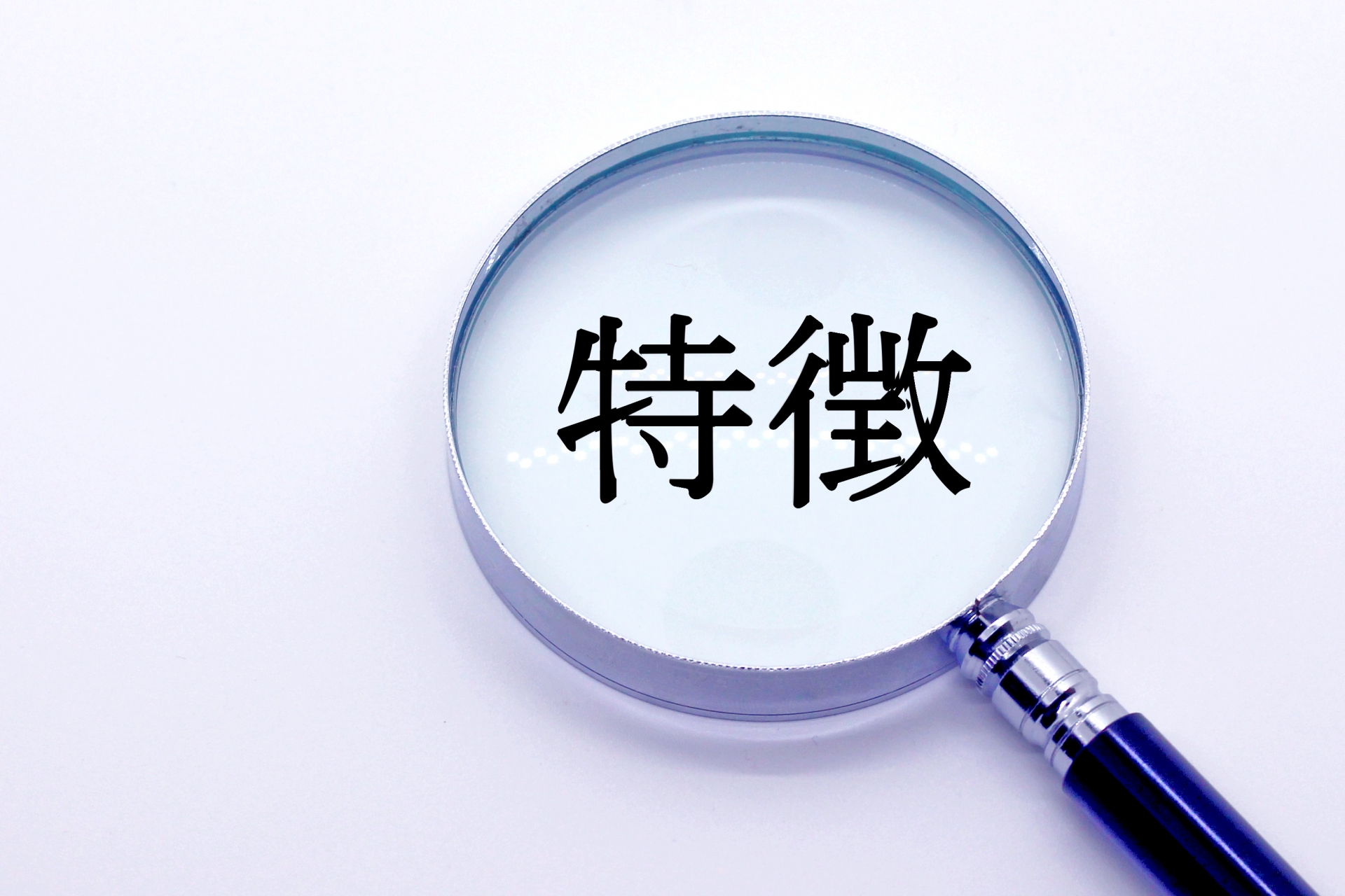 【種類別】スズメバチが作る巣の特徴