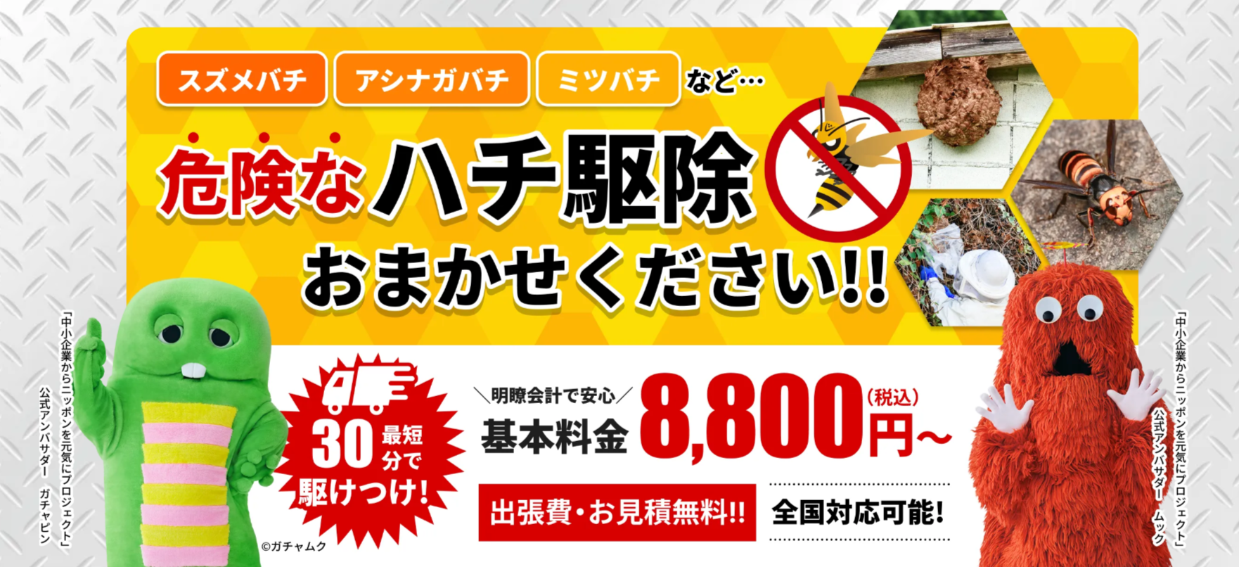 スズメバチの卵を見つけたら蜂駆除専門クリーンライフに相談