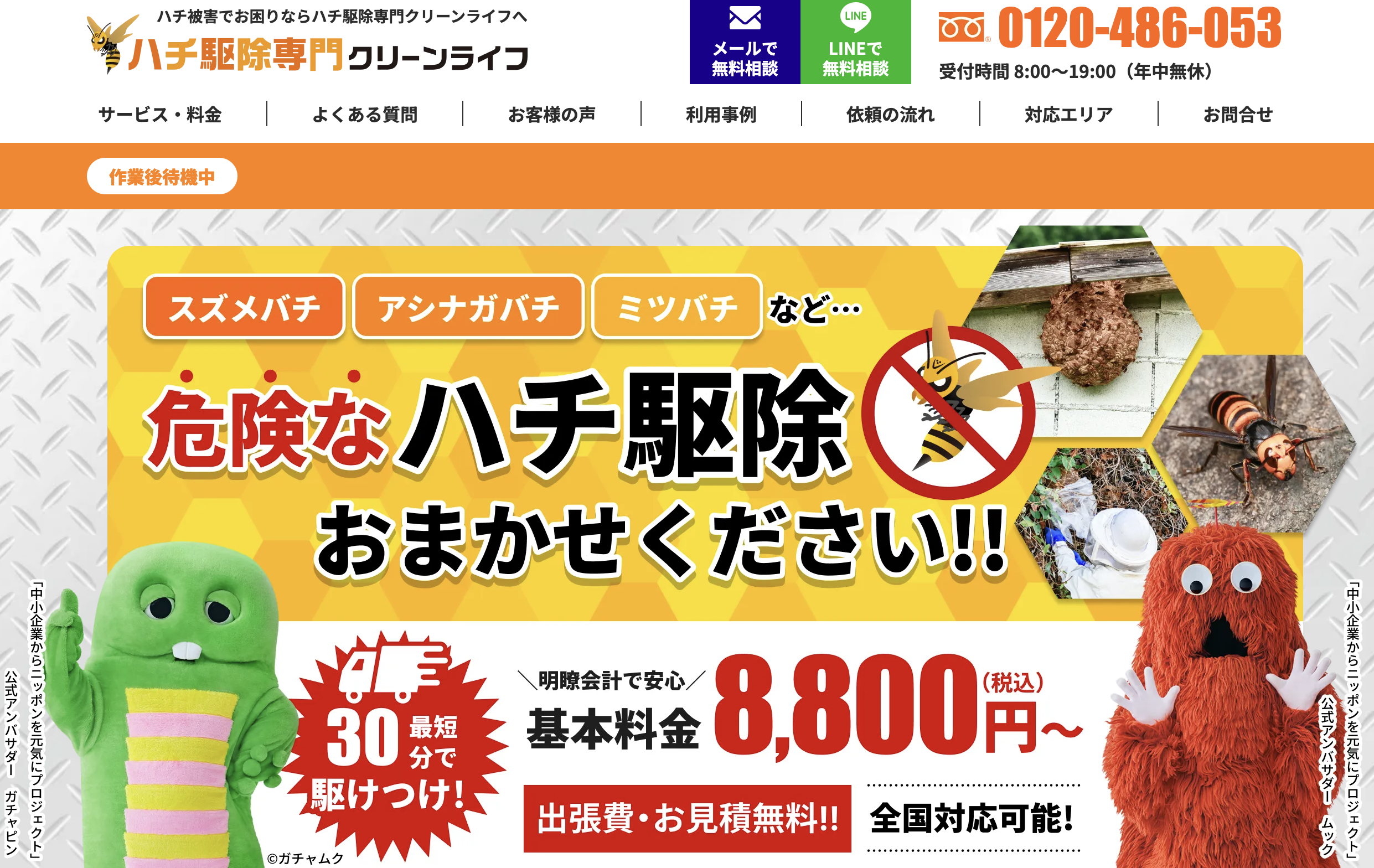 スズメバチ駆除後の戻りバチにお困りなら『ハチ専門駆除専門クリーンライフ』にお任せください