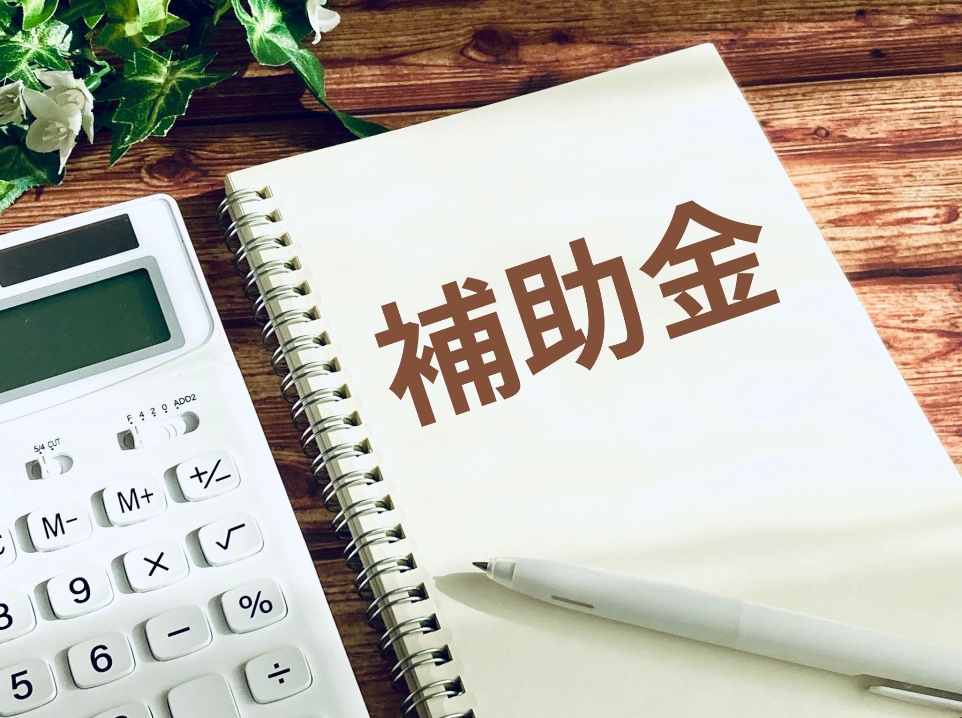 巣の駆除で補助金が出るのは2パターンある