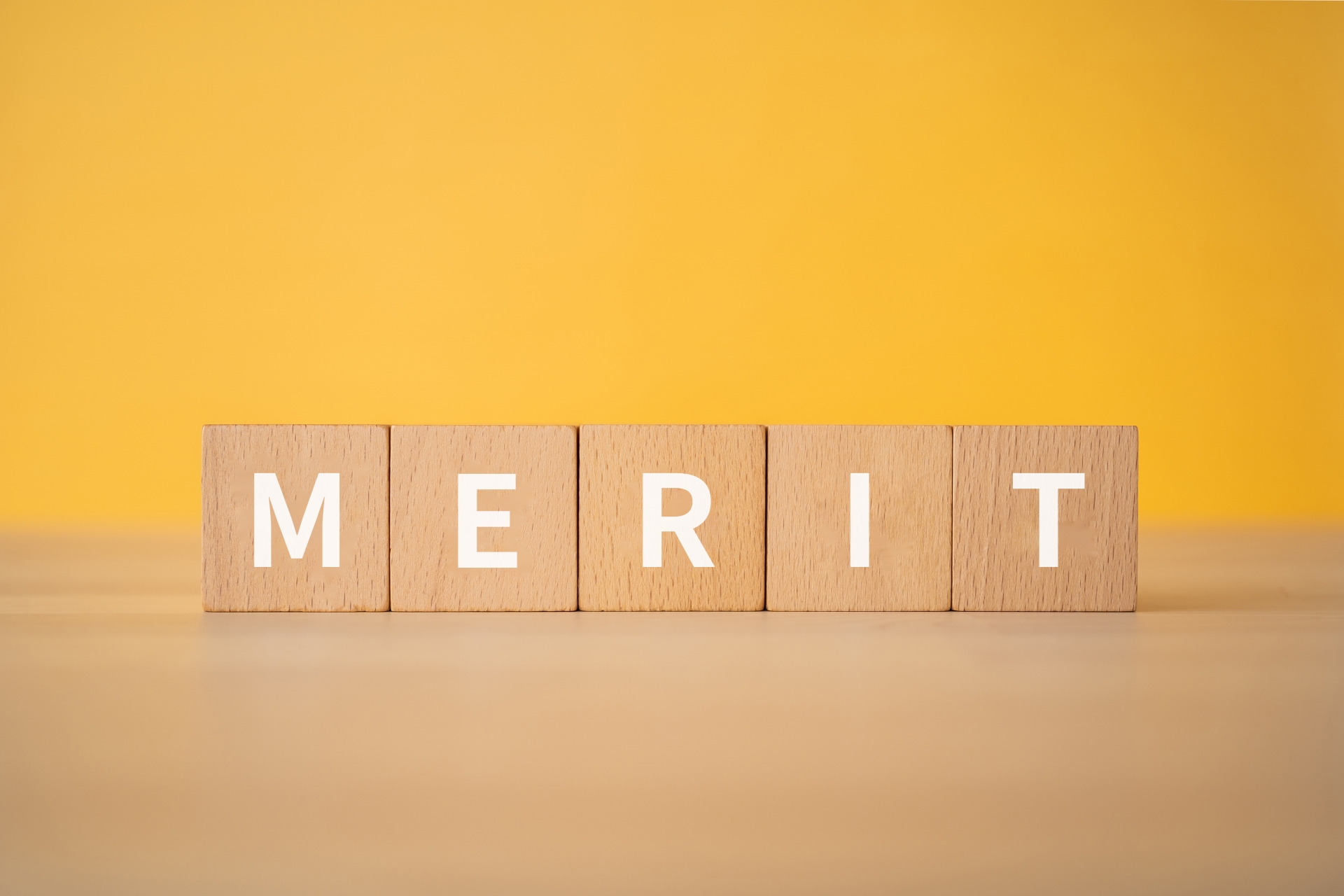 蜂の巣駆除を依頼する業者の選び方