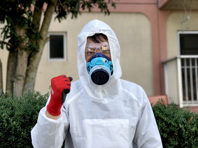 蜂の巣駆除の補助金制度