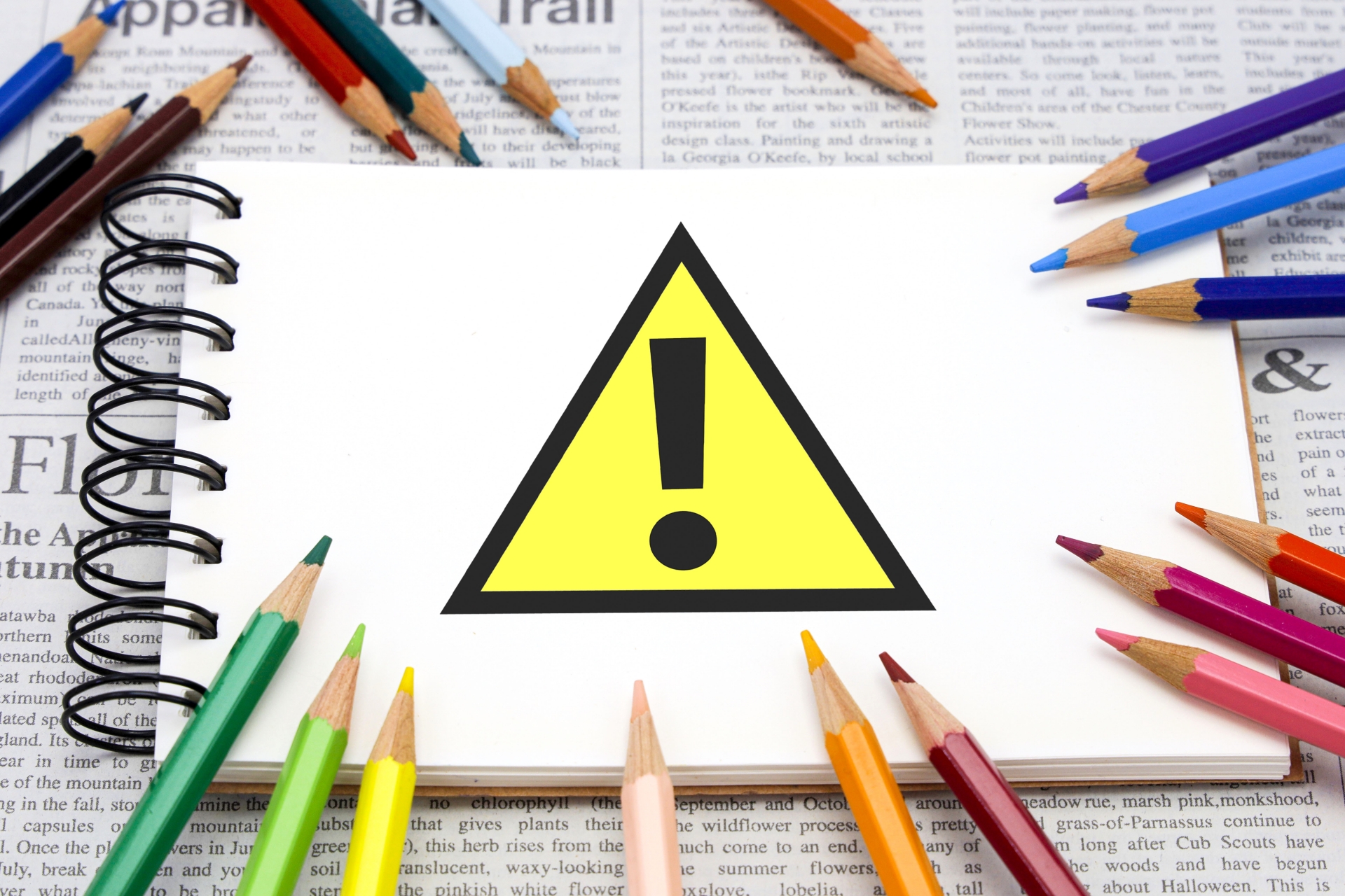 アシナガバチを自力で駆除するリスク