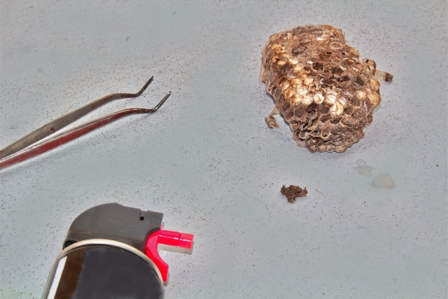 小さい蜂の巣を自分で駆除する方法