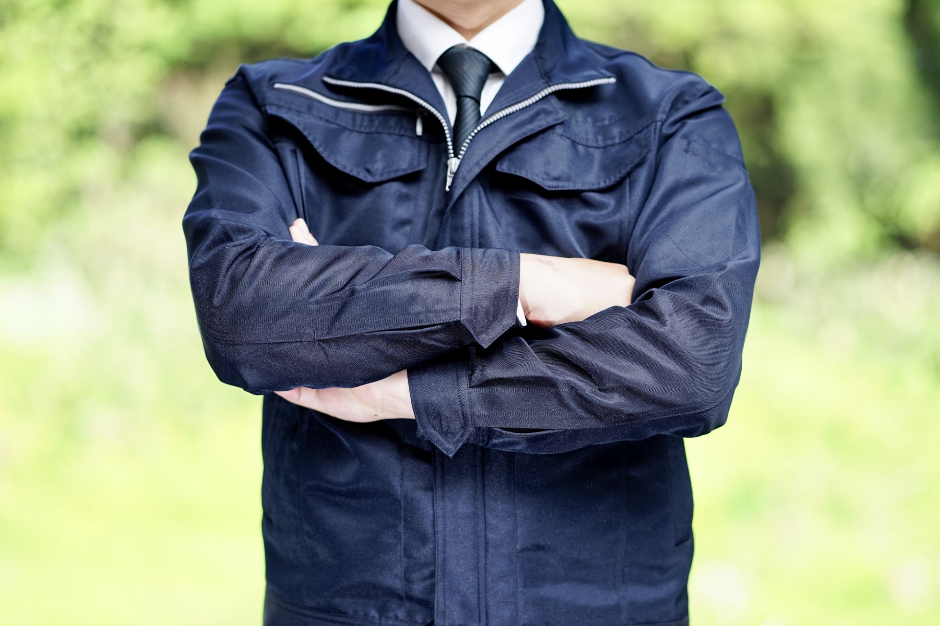 作り始めの巣は専門業者にお任せしよう