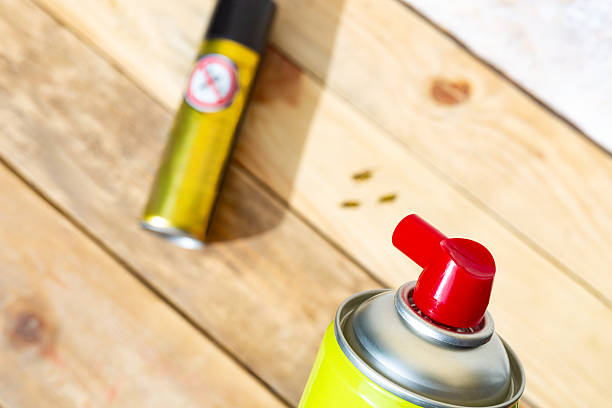 蜂の駆除スプレーが効かない時