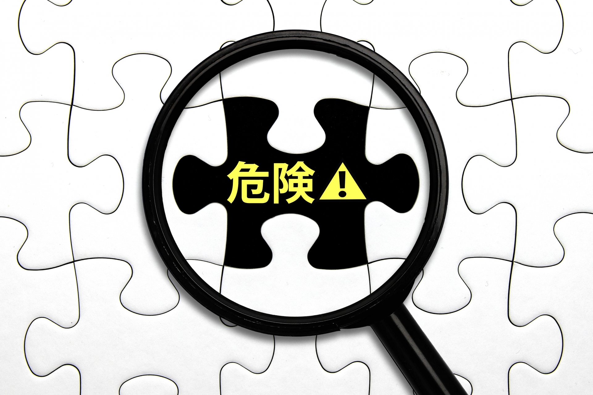 アシナガバチ女王蜂の危険性