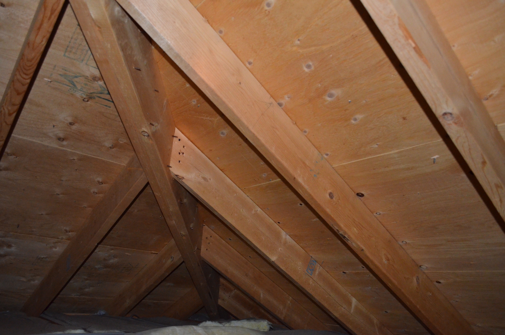 屋根裏に蜂の巣ができやすい理由3選