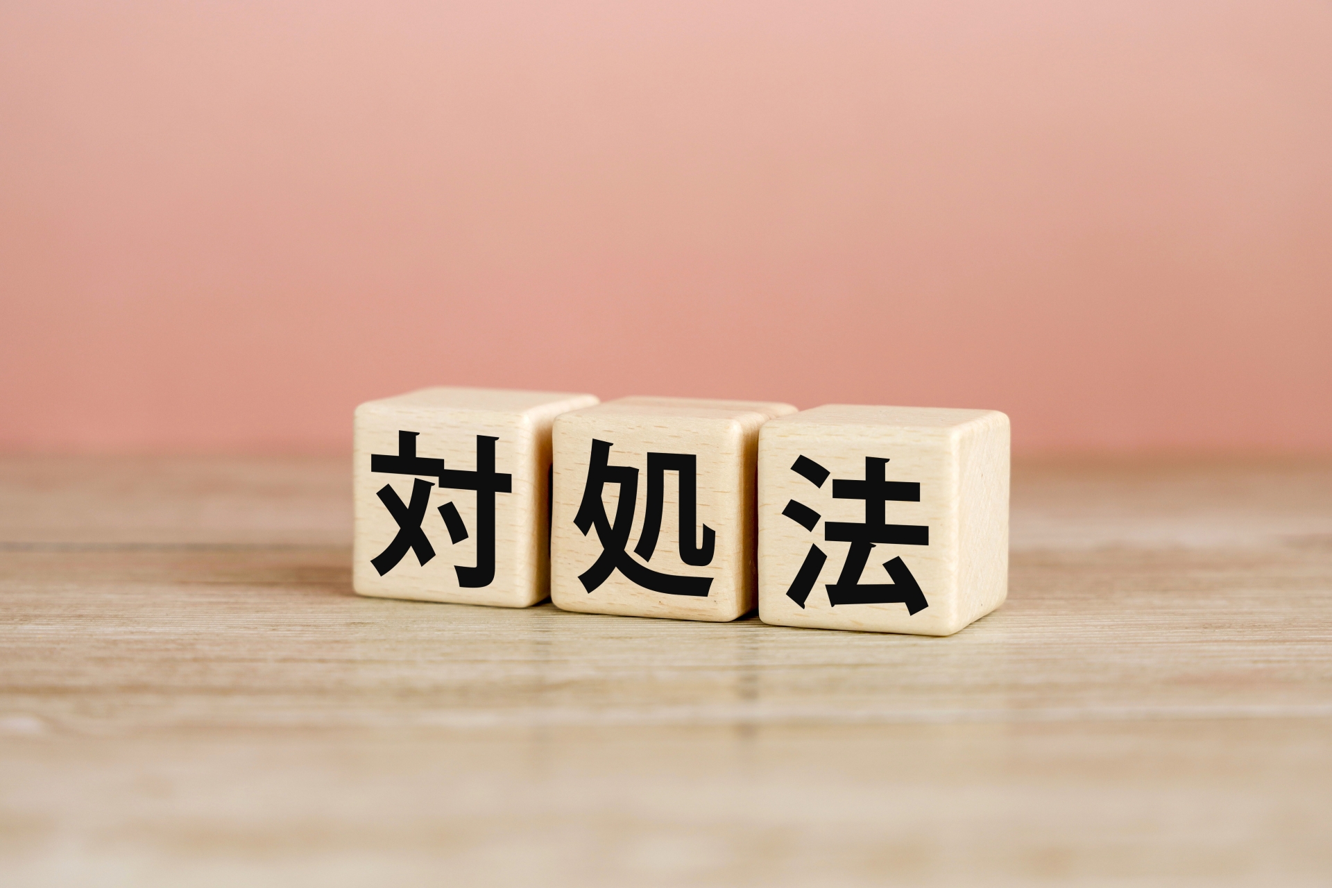 冬にアシナガバチを見つけた時の対処法