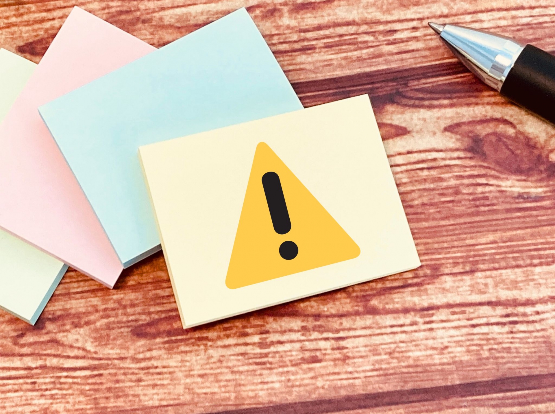 雨の日にアシナガバチを駆除する際の注意点