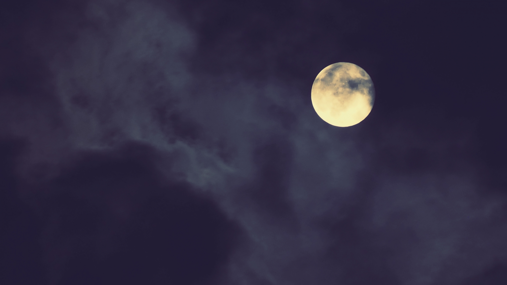 駆除するなら春先の夜間がおすすめな理由