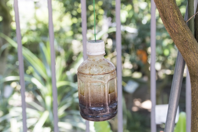 玄関に蜂の巣が再発しないための予防策