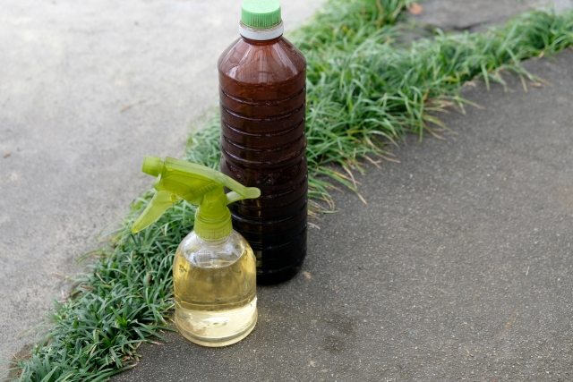 玄関の蜂の巣への応急処置法