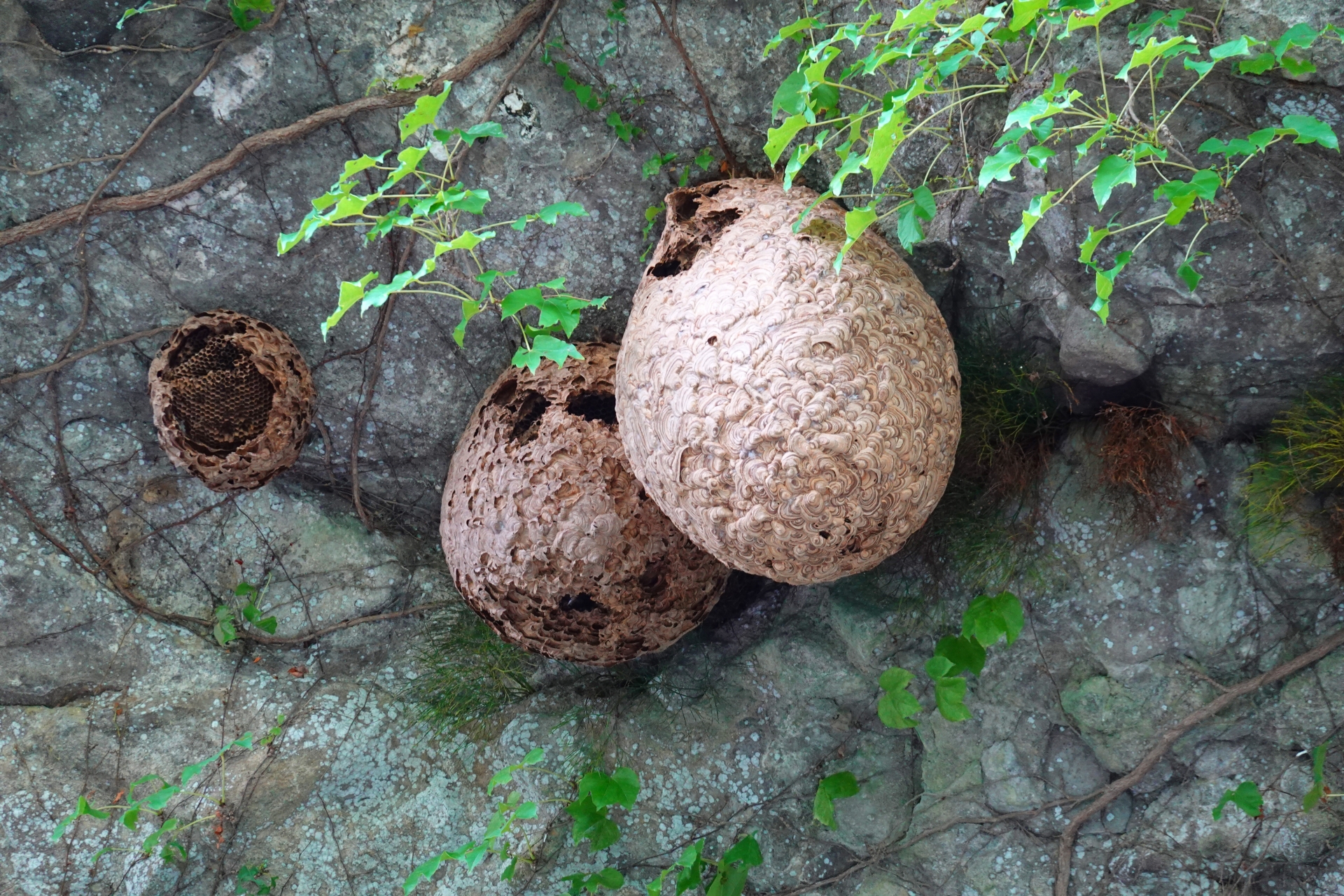 追加料金が発生するケース