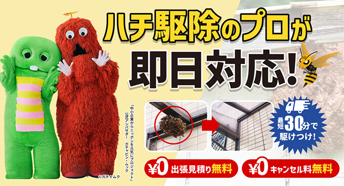 「ハチ駆除専門クリーンライフ」にお気軽にご相談ください