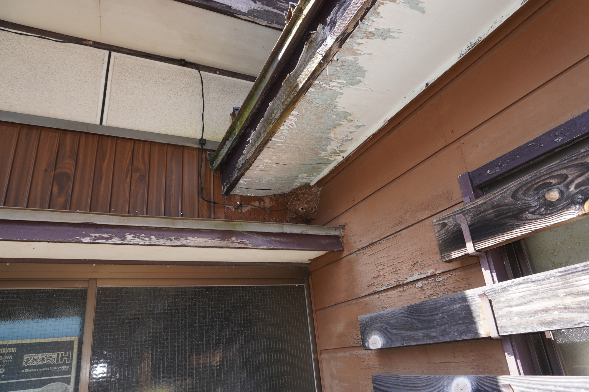 スズメバチが家の中に入ってきても絶対に慌てない！安全に追い出す方法を徹底解説！