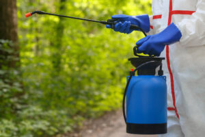 アシナガバチの巣を見つけた時の駆除方法