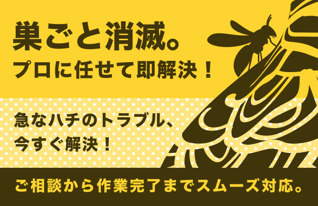 株式会社アルファー住宅