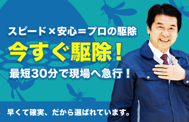 有限会社府内白蟻工業