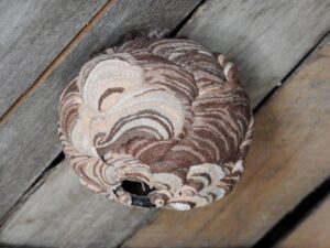 屋根裏にできた蜂の巣を駆除する方法を徹底解説！注意点や対策法も紹介